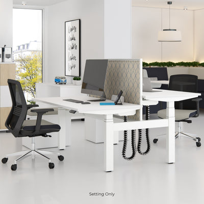 Elite Electric Office Sit Stand Desk Dual White Base