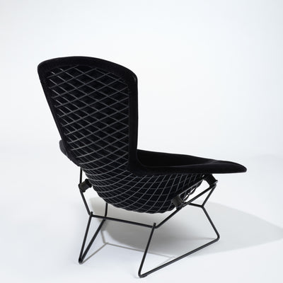 Knoll Bertoia Bird Lounge Chair Jet Black 9005