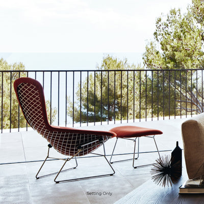 Knoll Bertoia Bird Lounge Chair